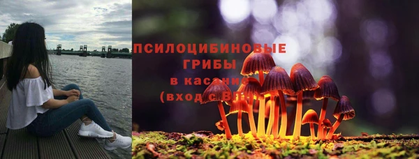 герыч Няндома